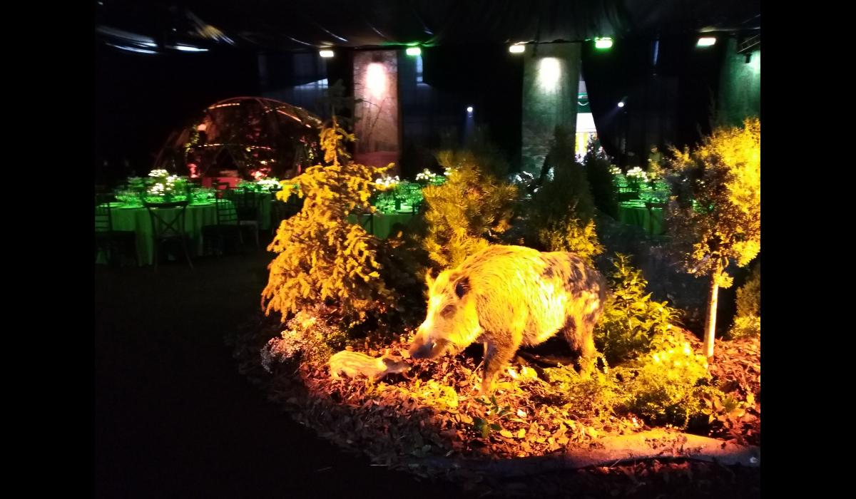 Paks - természetben rendezvény