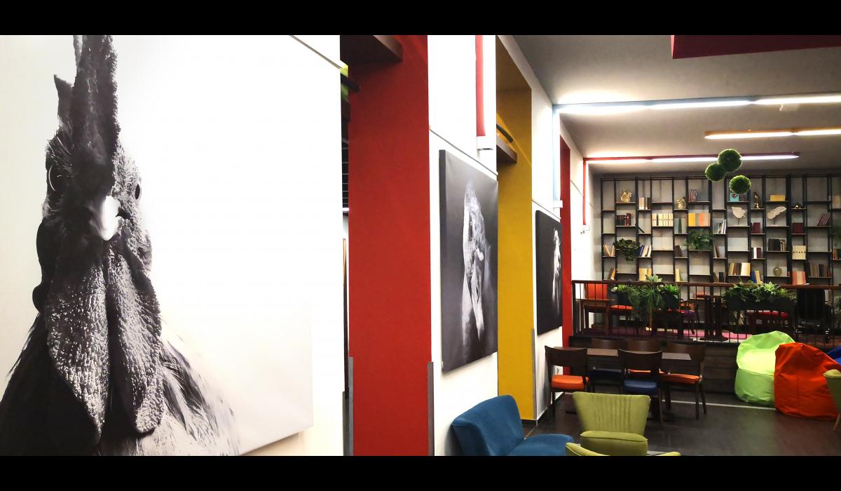 Állatorvostudományi Egyetem Diákközpont 