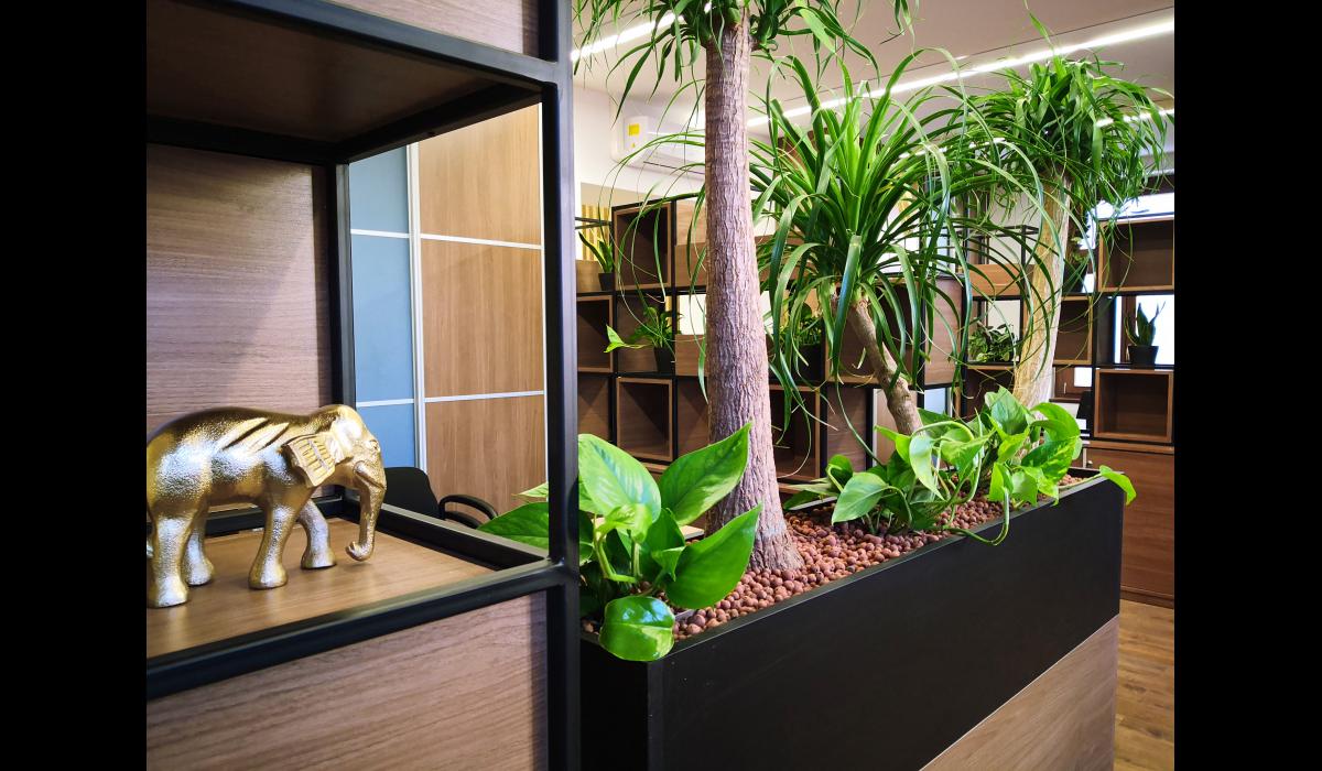 Állatorvostudományi Egyetem Nemzetközi Tanulmányi Osztálya