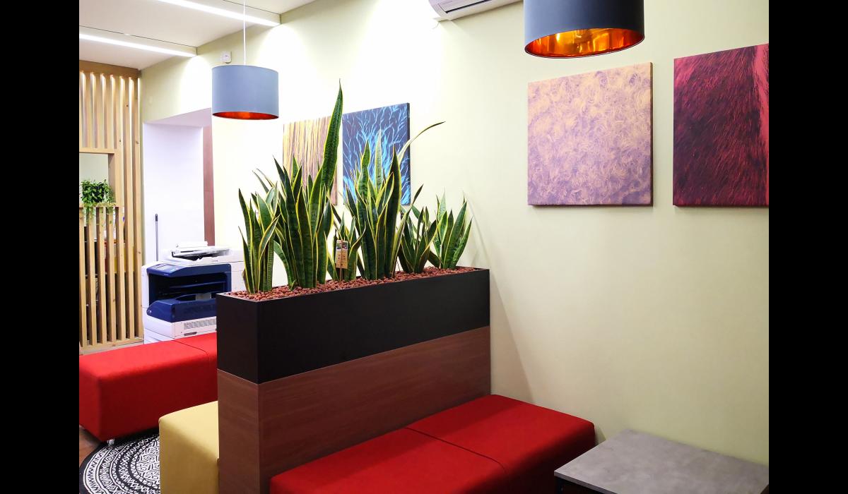 Állatorvostudományi Egyetem Nemzetközi Tanulmányi Osztálya