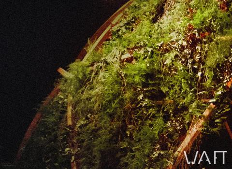 Paks - természetben rendezvény